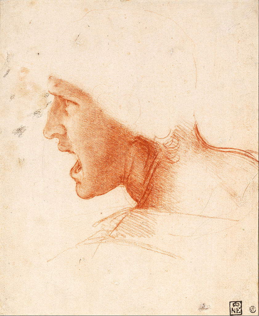 Leonardo da Vinci, Testa di cavaliere, studio per la Battaglia di Anghiari (1503 circa; gessetto rosso e nero su carta rosa, 227 x 186 mm; Budapest, Szépm&udblac;vészeti Múzeum)
